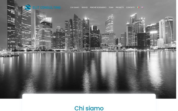 Screenshot of elit.consulting
