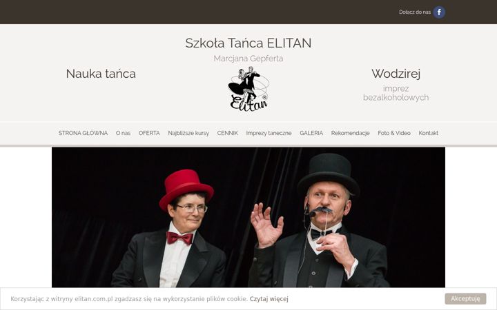 Captura de pantalla de elitan.pl