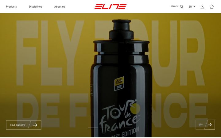 Screenshot of elite-it.com