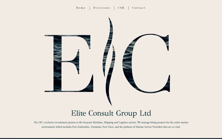 Screenshot of eliteconsultltd.co.uk