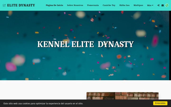 Screenshot of elitedynastyspain.com