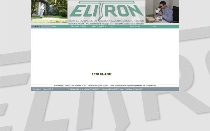 Screenshot of elitron.mi.it