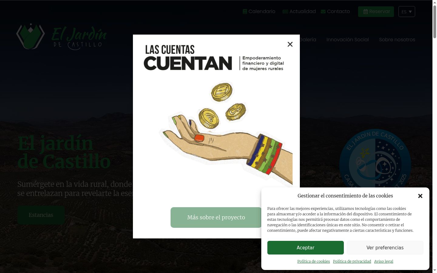 Screenshot of the consent banner shown before any interaction