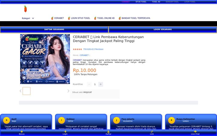 Screenshot of elkcitypoolsandspas.com
