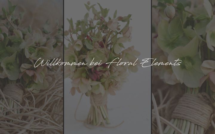 Screenshot von elke-lumetsberger.at