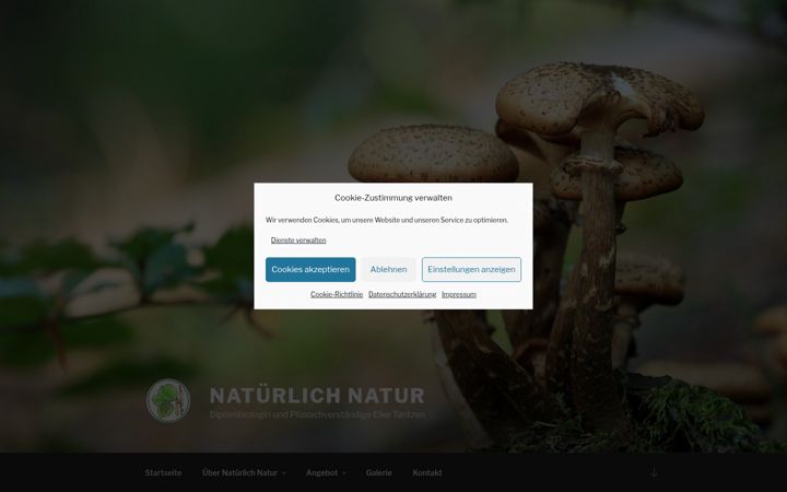 Zrzut ekranu elke-tantzen.de