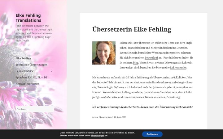 Zrzut ekranu elkefehling.de