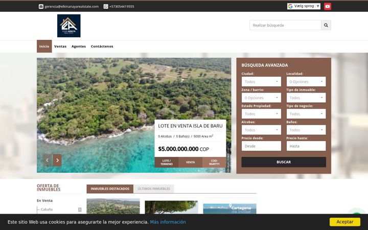 Screenshot of elkinanayarealstate.com