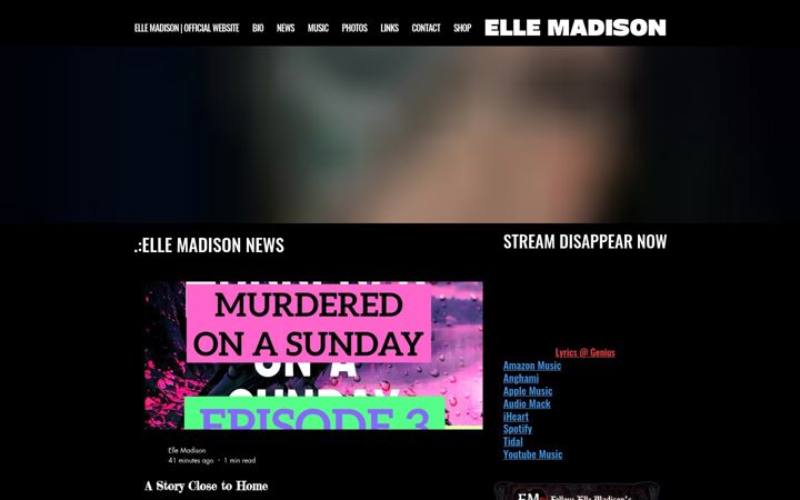 Snimka zaslona za elle-madison.org