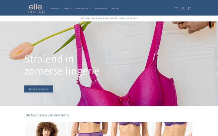 Snímek obrazovky ellelingerie.nl