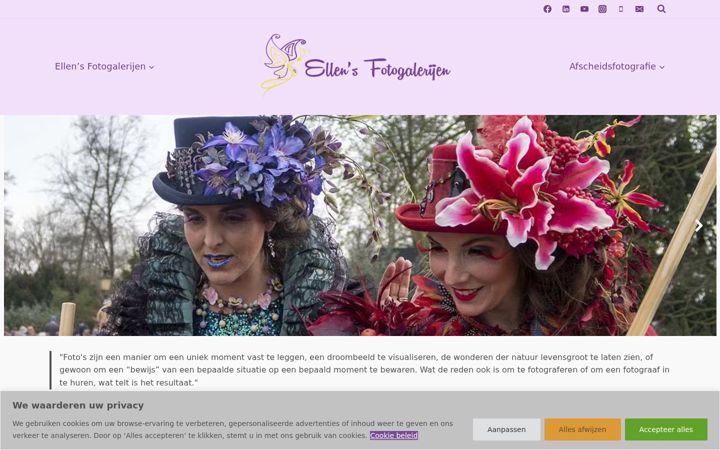 Snímek obrazovky ellensfotogalerijen.nl