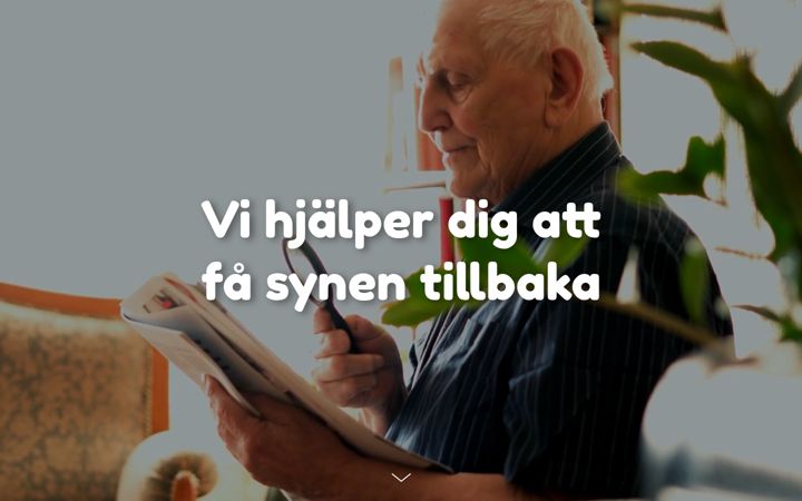 Zrzut ekranu ellenta.se
