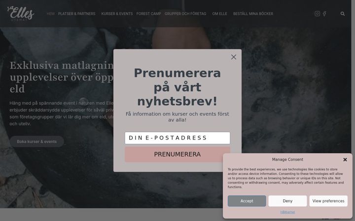 Screenshot di ellesutemat.se