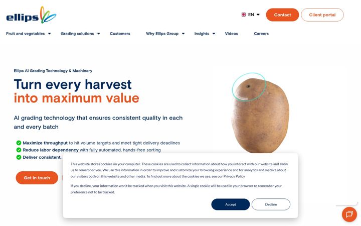 Screenshot of ellips.com