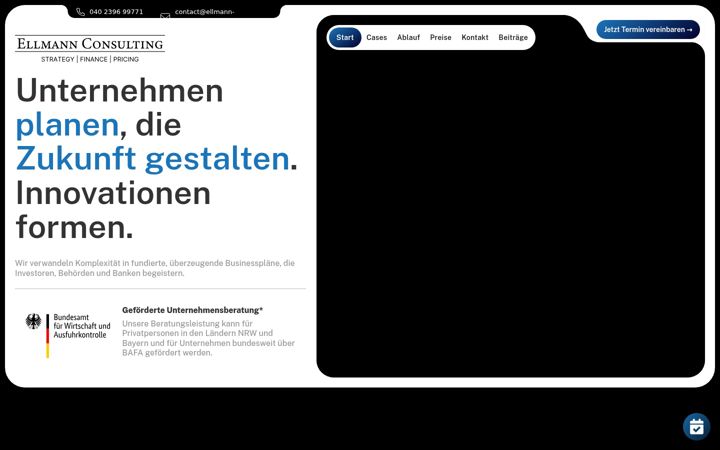 Screenshot of ellmann-businessplan.com