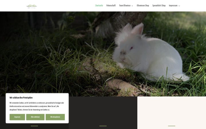 Ekrano kopija ellswiese.de