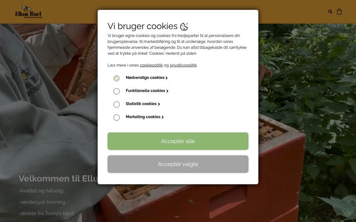 Screenshot ta' ellumbiavl.dk