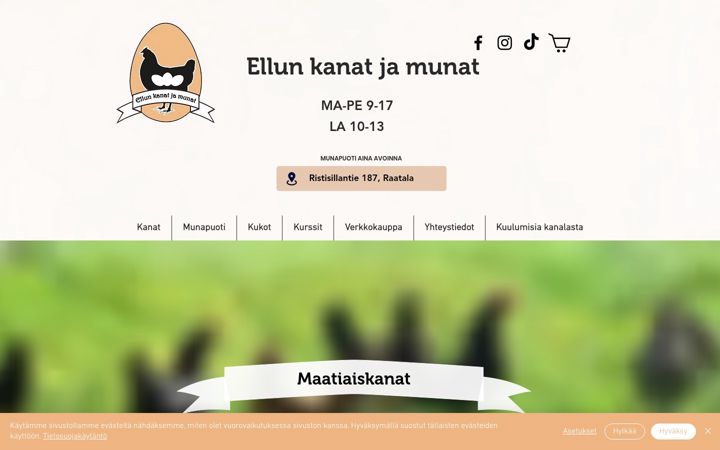 Screenshot di ellunkanatjamunat.fi