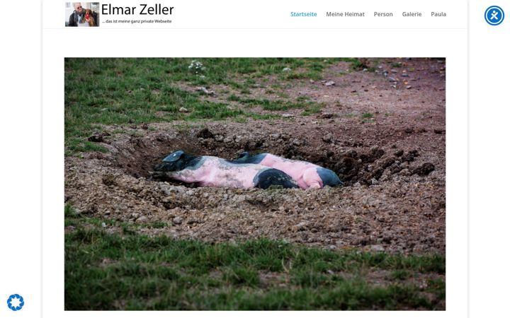 Screenshot von elmar-zeller.de