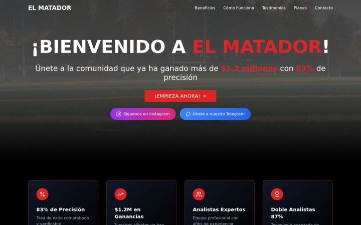 Screenshot of elmatador2407.com