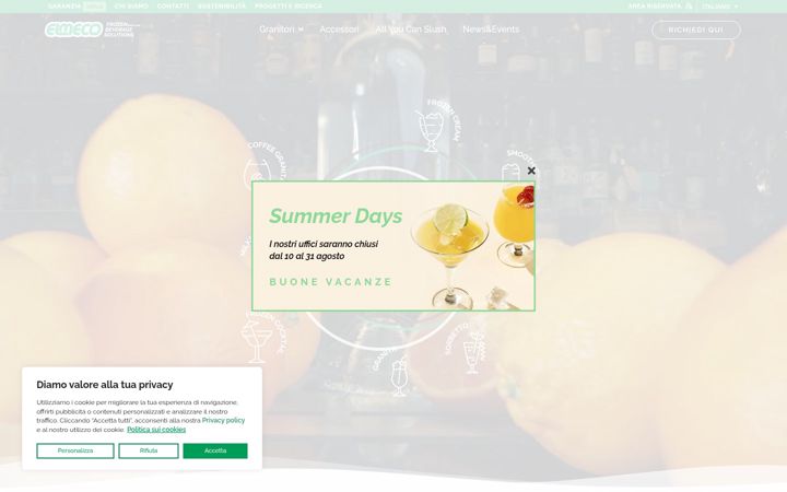 Screenshot of elmeco.com