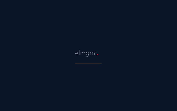 Screenshot of elmgmtgroup.com