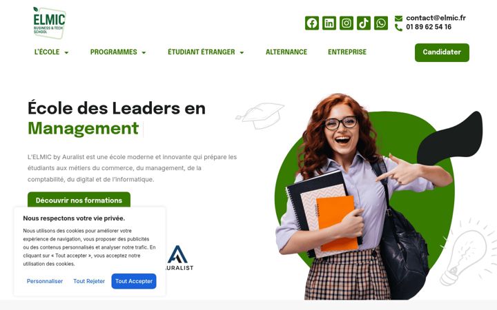 Screenshot ta' elmic.fr