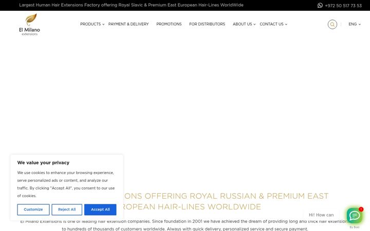 Screenshot of elmilanoextensions.com