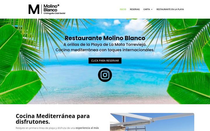 Screenshot του elmolinowhitetorrevieja.es