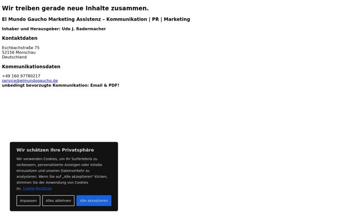 Screenshot of elmundogaucho.com