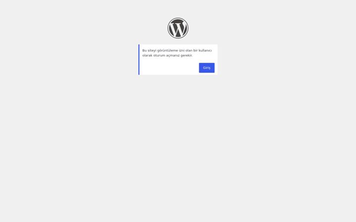 Screenshot of elneasdigital.com
