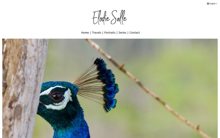Screenshot of elodiesalle.com