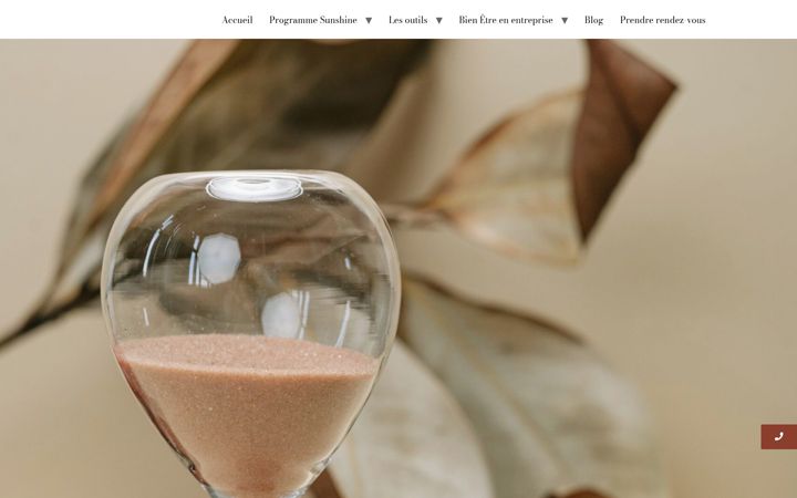 Screenshot of eloiselanaturopathedusud.fr