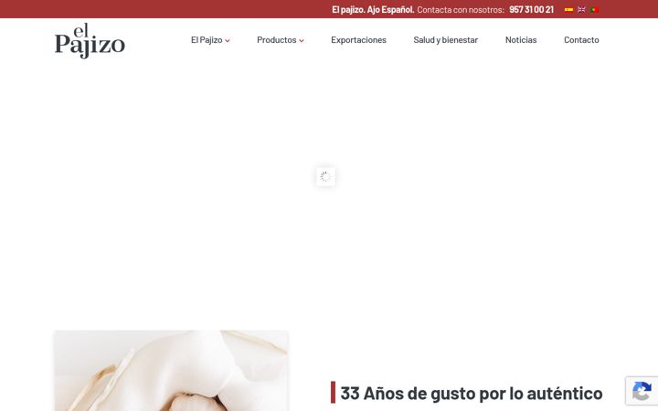 Screenshot of elpajizo.com