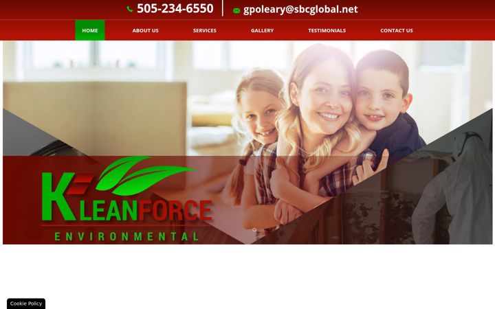 Screenshot of elpasomoldtesting.com