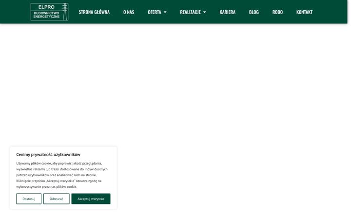 Screenshot of elproenergetyka.pl