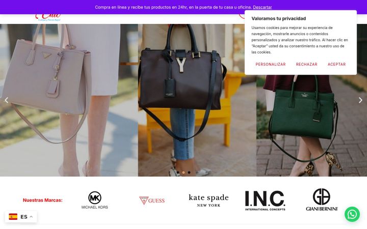 Screenshot of elpuntochic.com