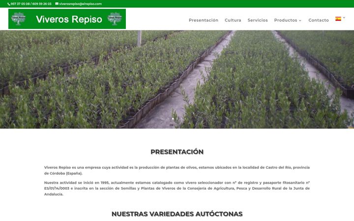 Screenshot of elrepiso.com