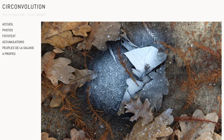 Screenshot of elsa-weber.com