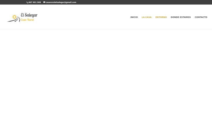 Screenshot of elsalegar.es