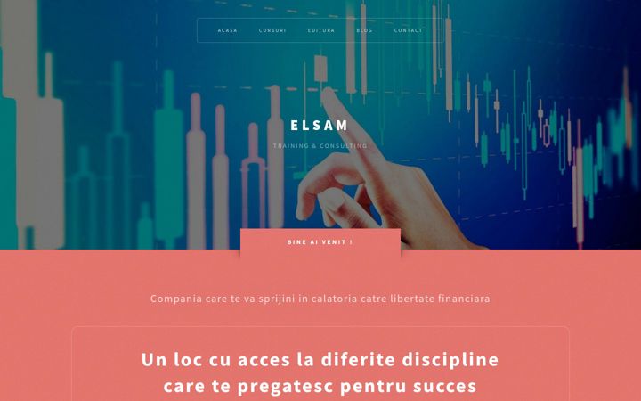 Screenshot of elsamconsulting.com