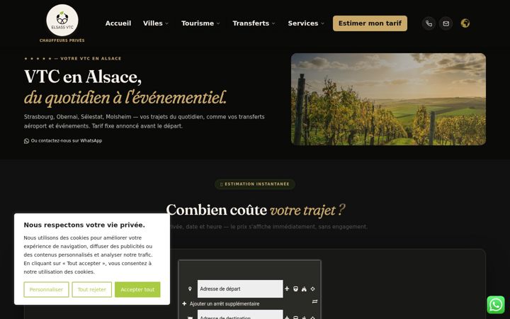 Screenshot of elsassvtc.fr
