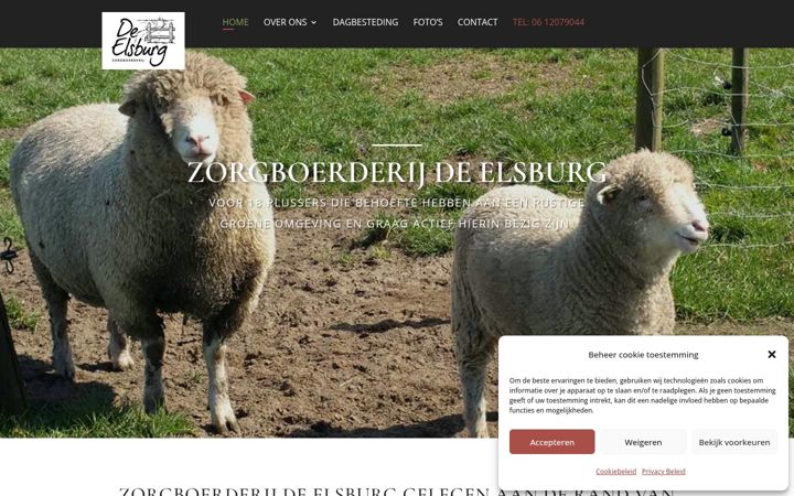 Snímek obrazovky elsburg.nl