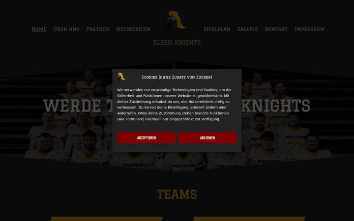Screenshot of elsen-knights.de