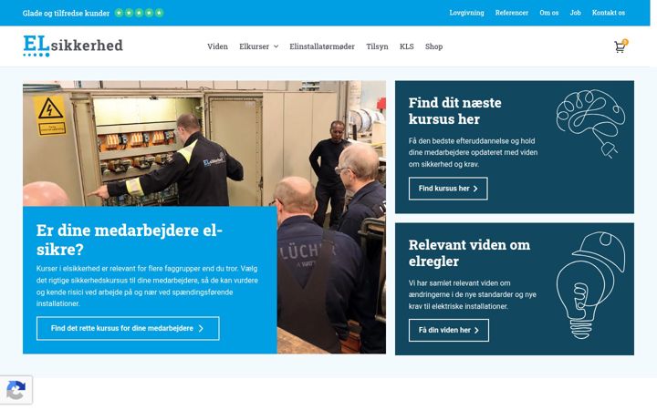 Screenshot di elsikkerhed.dk