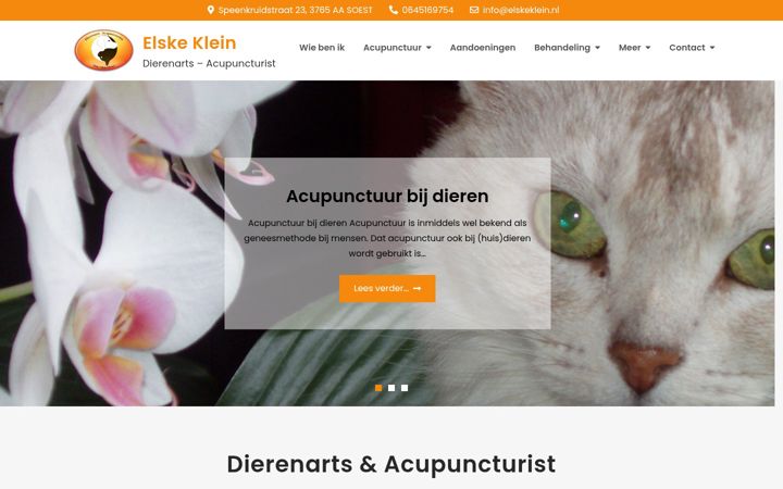 Snímek obrazovky elskeklein.nl