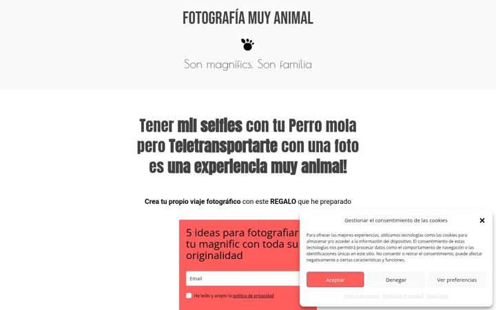 Screenshot of elsmagnifics.com