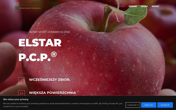 Snímek obrazovky elstarpcp.pl
