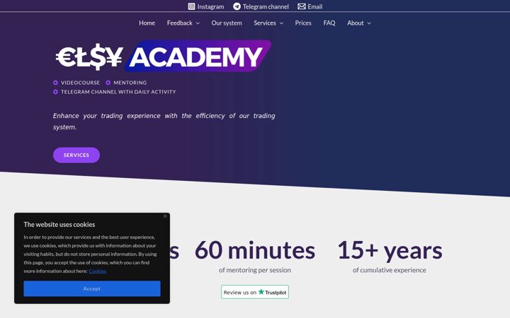 Screenshot of elsyacademy.com