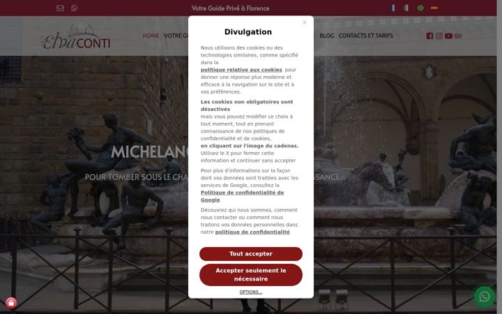 Screenshot of elvaconti.com